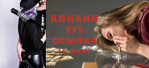 дмт Белокуриха