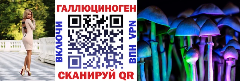 blacksprut ссылка  купить закладку  Дальнегорск  мориарти формула  Галлюциногенные грибы Psilocybine cubensis 
