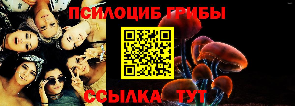 Псилоцибиновые грибы мухоморы Дальнегорск